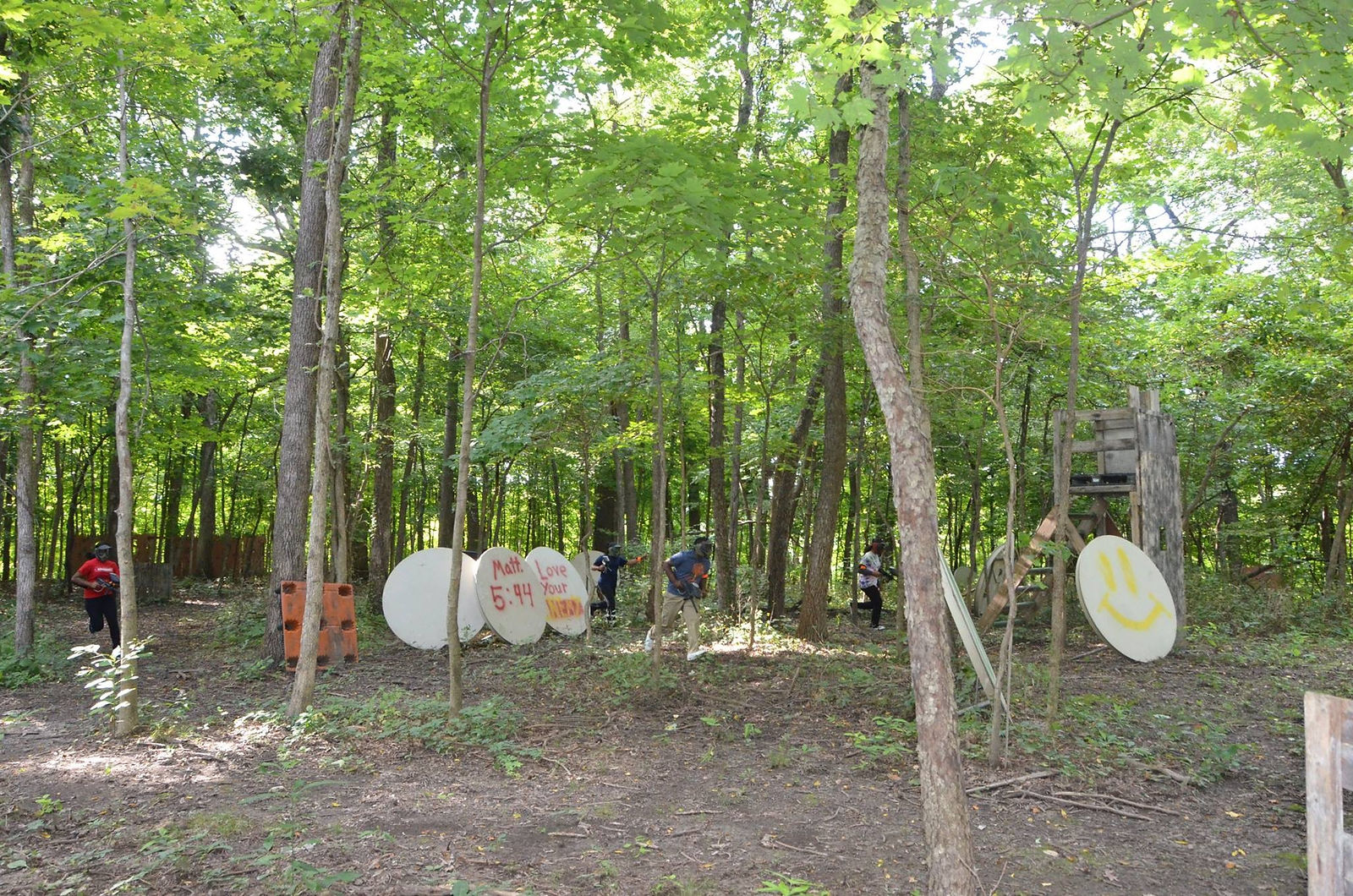 Wooded Field