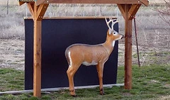 backstop.jpg