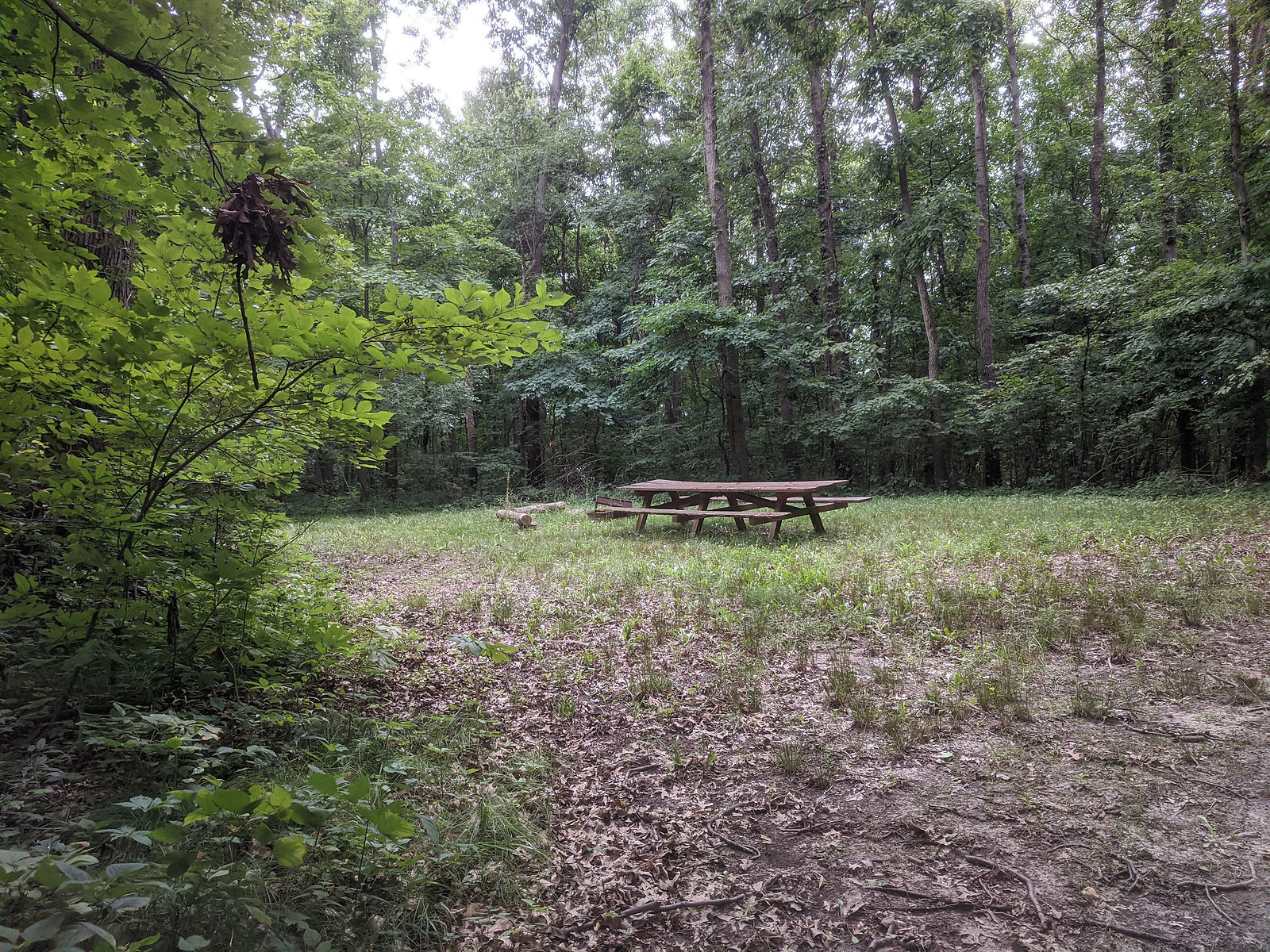 Campsite