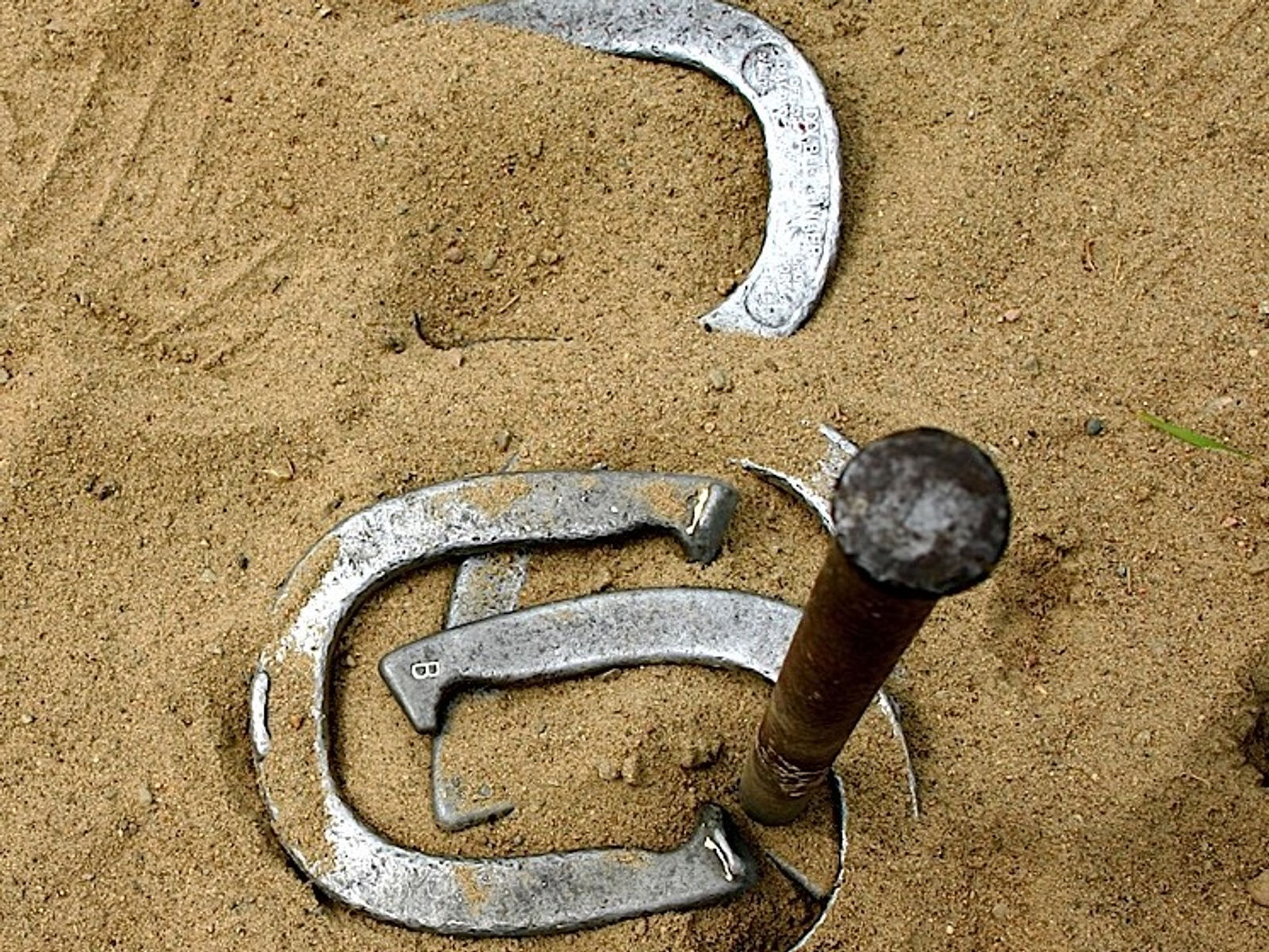 horseshoes